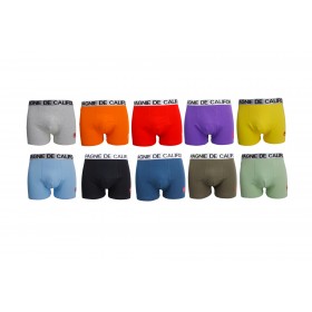 Lot de 10 boxers en coton lot de 10 boxers compagnie de californie