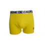 boxer compagnie de Californie jaune