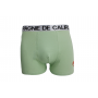 boxer compagnie de Californie vert d'eau