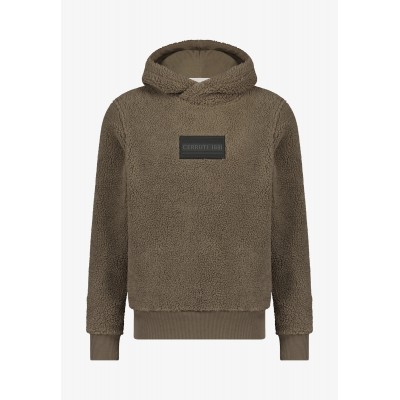 Polar hoodie