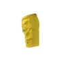 copy of Short de bain tricolore