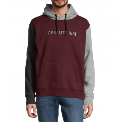 Tricolor Hoodie Sweatshirt